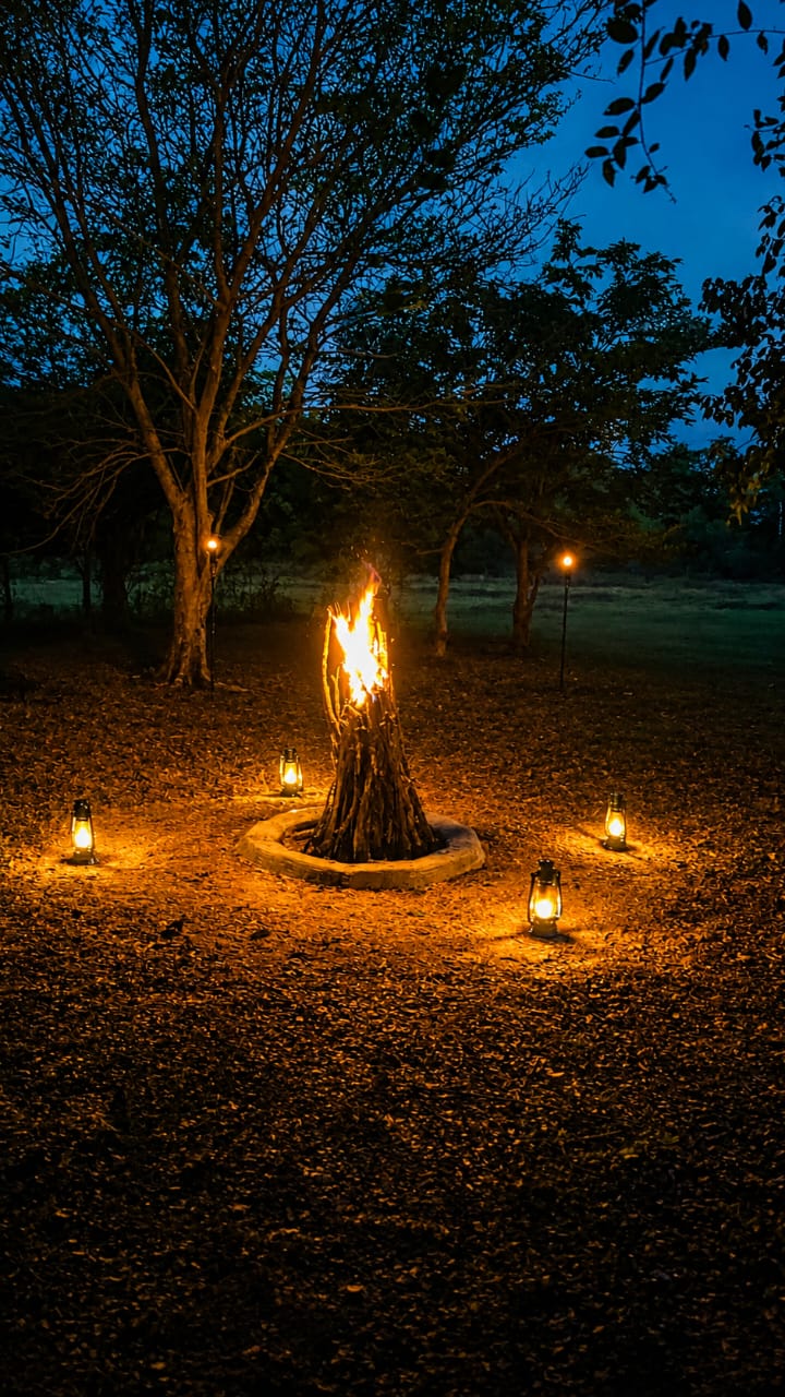 Premium tented safari camping in Sri Lanka - h9