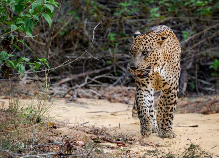 Kumana National Park