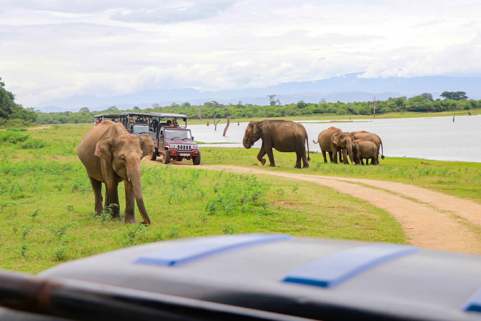 Lunugamvehera National Park